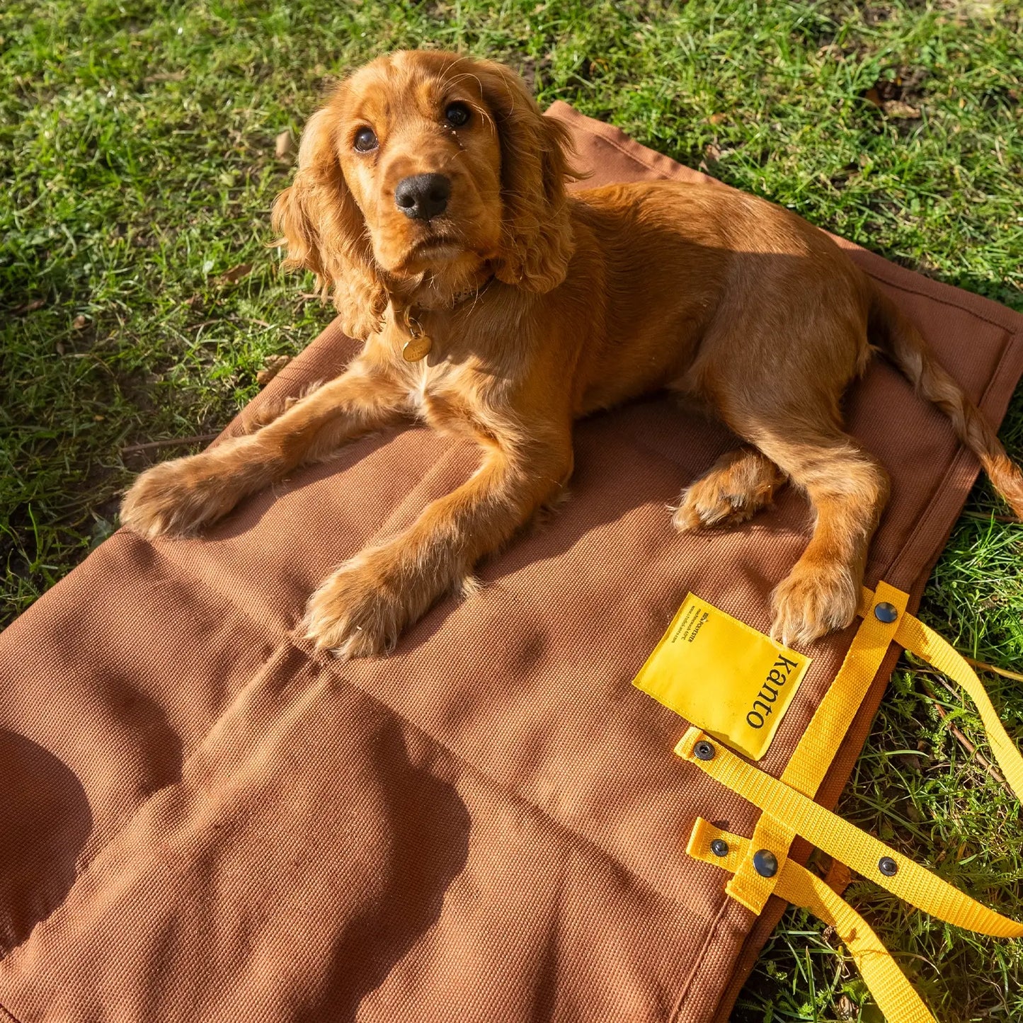 Tapis pour Chien Patio Kvadrat Brown Kanto - CHOUKETT Paris (2)