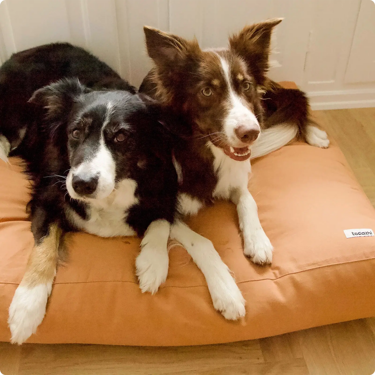 Coussin pour Chien Tobine Light Brown Tadazhi - CHOUKETT Paris (2)