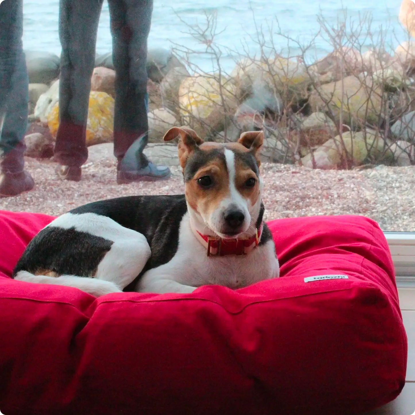 Coussin pour chien - Tobine - Warm Red