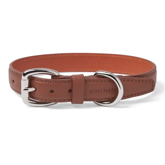 Collier chien Chestnut & Amber Molly & Stitch - Tuscan | CHOUKETT Paris (1)